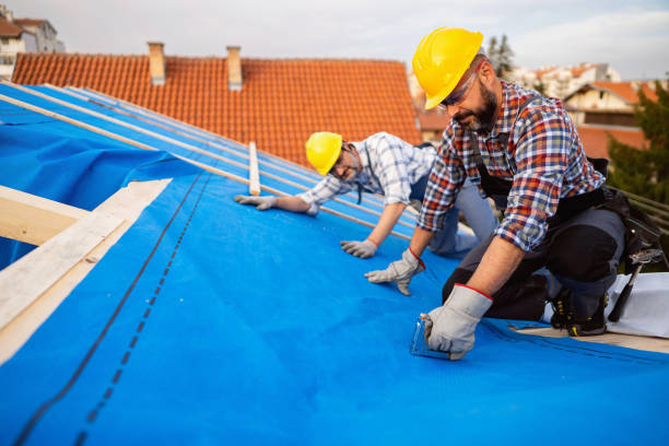 Best Metal Roofing Contractor  in Blue Mound, TX