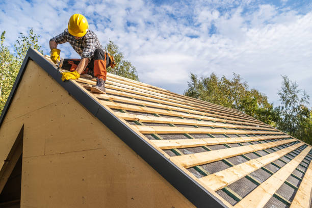 Best Roof Gutter Cleaning  in Blue Mound, TX